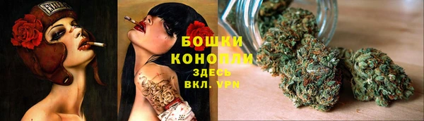 молекула духа Белоозёрский
