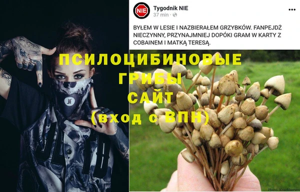 молекула духа Белоозёрский